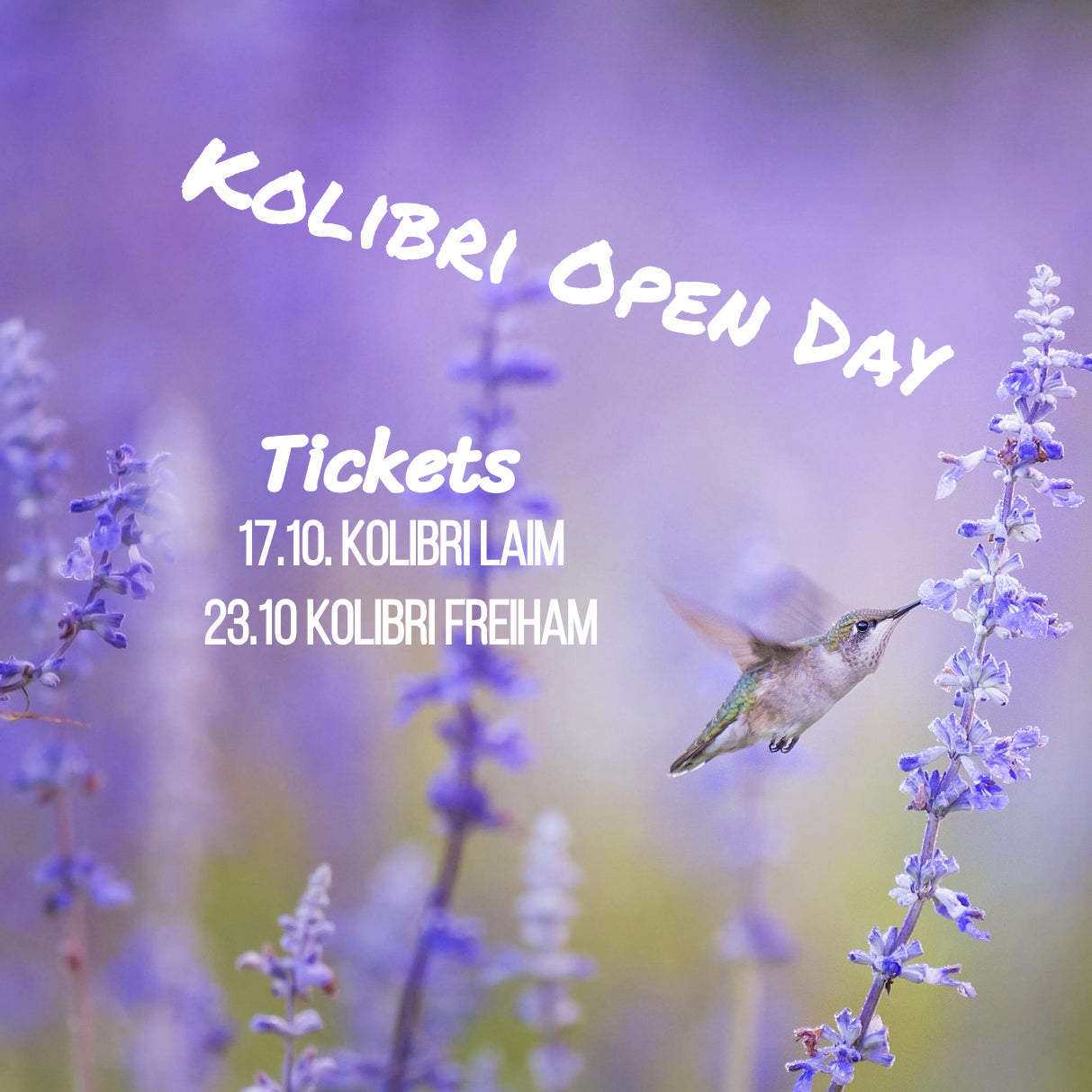 Tickets für die Kolibri Open Days